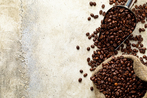 The Journey of Coffee: From Bean to Brew Magic – Master Coffee Roasters