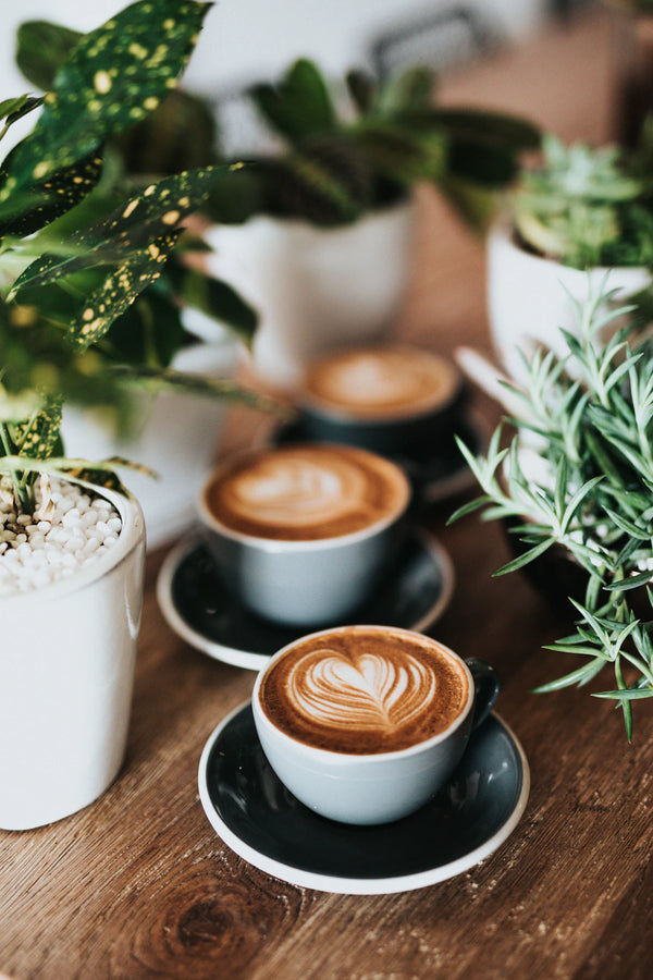 The Coffee Shop Experience Beyond the Brew