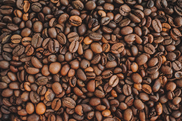 The Journey of Coffee From Bean to Brew