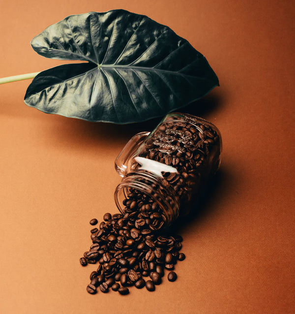 Brewing Change Sustainable Sips of Coffee  Tea