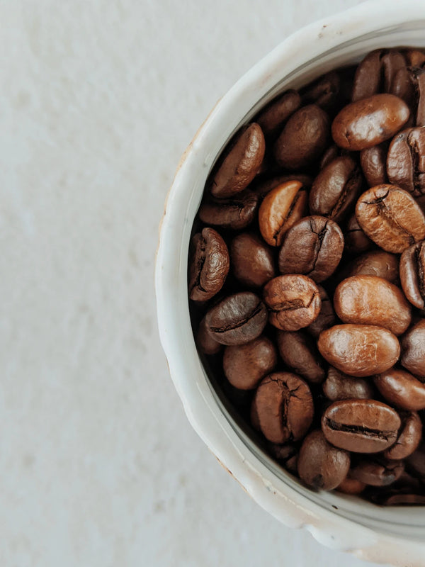 The Journey of Coffee From Bean to Brew