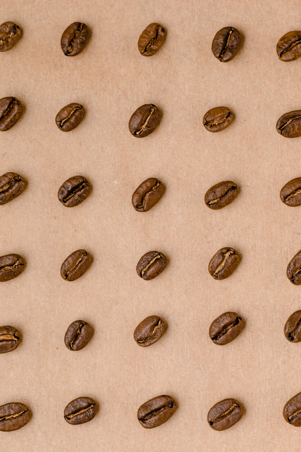 Coffee Myths Debunked The Truth Behind Your Brew
