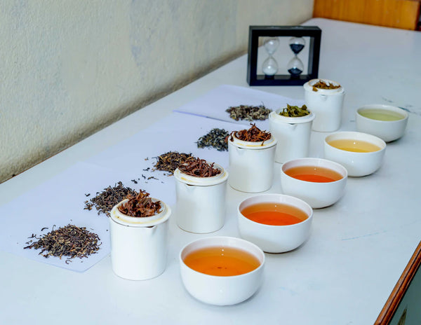 Tea Tasting 101 Delight in Flavor Notes