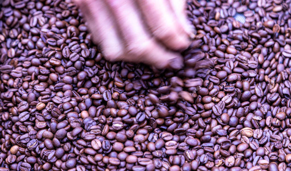 The Art of Brewing the Perfect Cup of Coffee