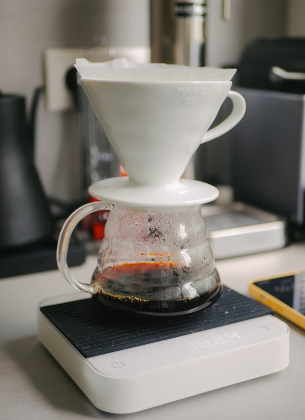 The Science Behind Brewing the Perfect Cup
