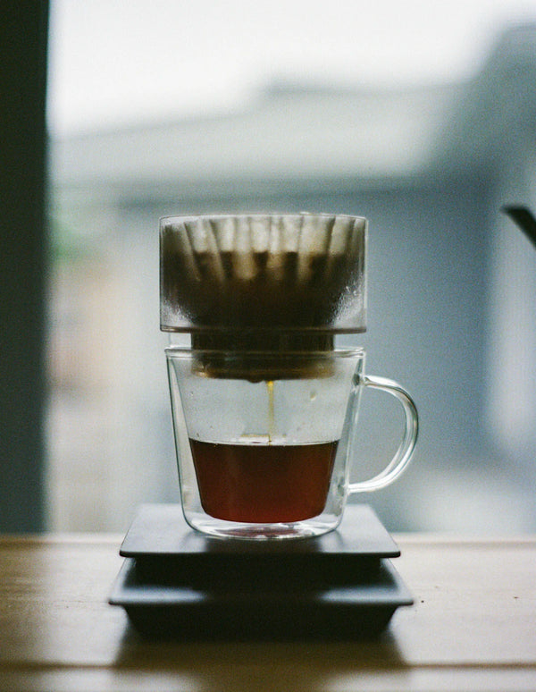 The Art of Brewing the Perfect Cup of Coffee